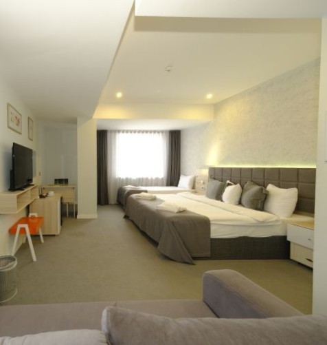 Deluxe Suite Room